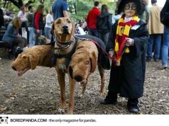 What’s your Halloween costume?