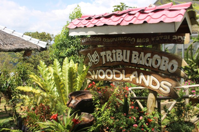 Summer Mountain Paradise in the South