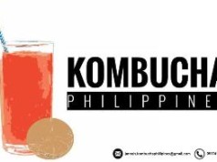 Kombucha Tea – The Health Elixir Kombucha Philippines