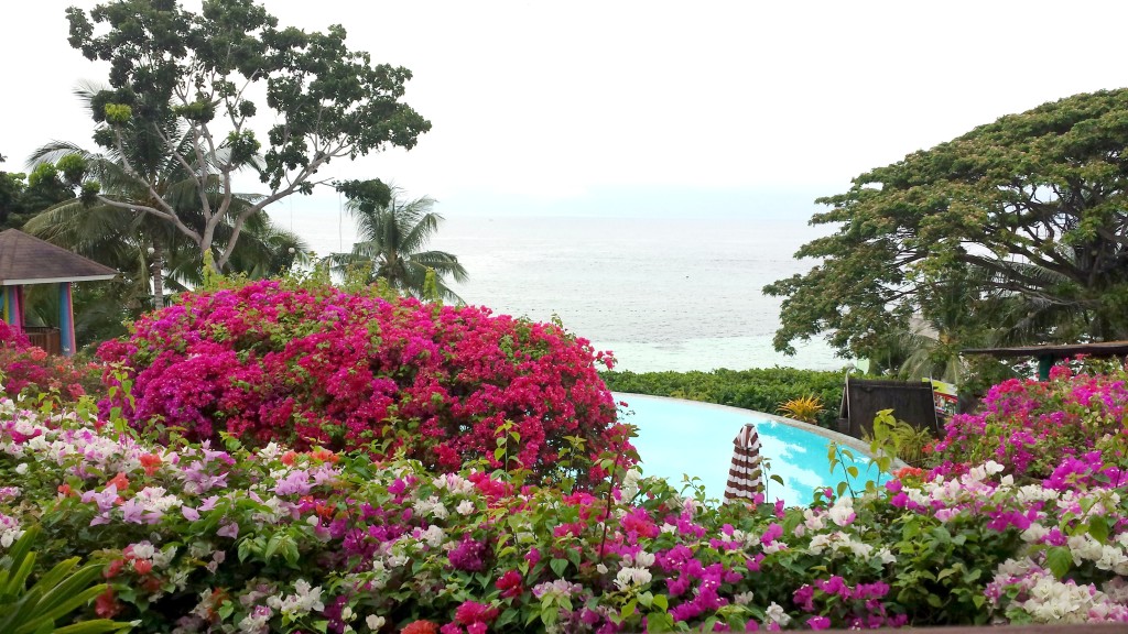 Infinity Pool at Flushing Meadows Resort & Playgroud