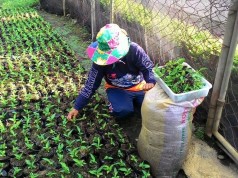 Team HeatStress From USEP To Represent The Philippines At The DLD Tel Aviv, Israel