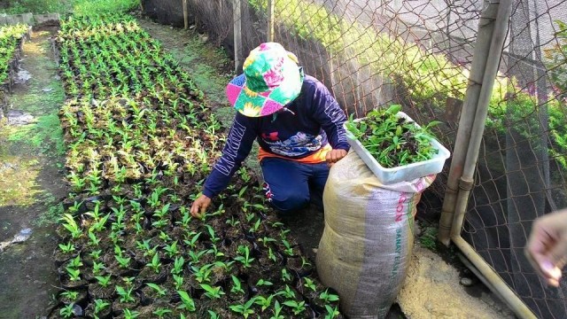 Team HeatStress From USEP To Represent The Philippines At The DLD Tel Aviv, Israel