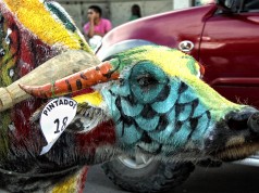 UGMAD Fest Highlights Tagumenyo Farmers