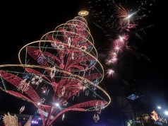 Tagum’s Giant Holiday Tree Carries Message Of Love