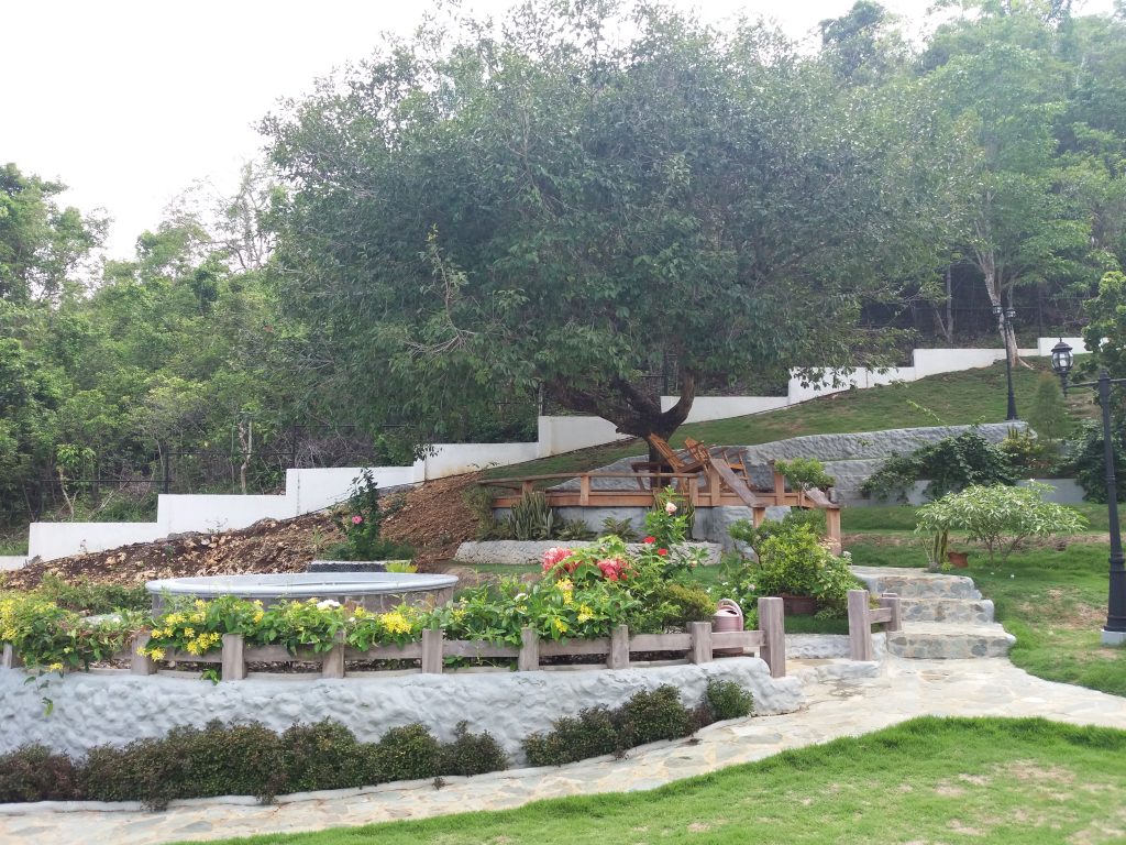 My favorite spot: the deck under a beautiful tree with two rocking chairs. Perfect spot for reading a book or just relaxing. You will have the view of the lush green hills at the back of Garden Bungalows and on your side is the view of the pool and the garden. Sometimes, there’s a spot where you can see the beach.