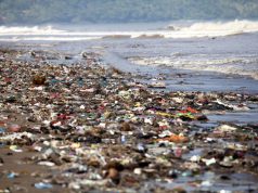 Woes of Irresponsible Waste Disposal is a Call of Collective Action towards Environment