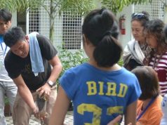 Urban Container Gardening, a hope for food sustainability