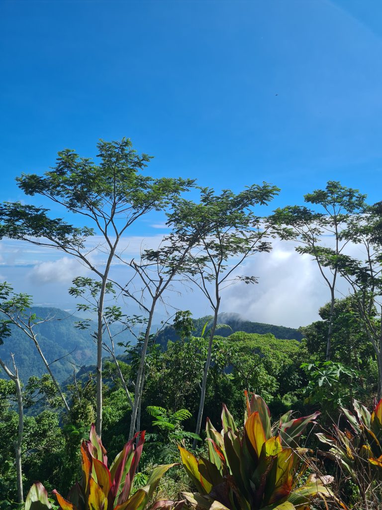 Mt. Loay: Among the top five mountains in Davao Region