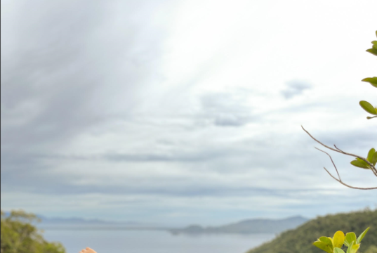 Top Five Mountains in Davao Region for Hiking Beginners Top five mountains in Davao Region for Hiking Beginners