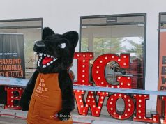 Big Bad Wolf Books: Changing the World, One Book at a Time